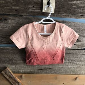 𝅺pink Ombre Size Med Cropped Activewear top/bra with bust padding